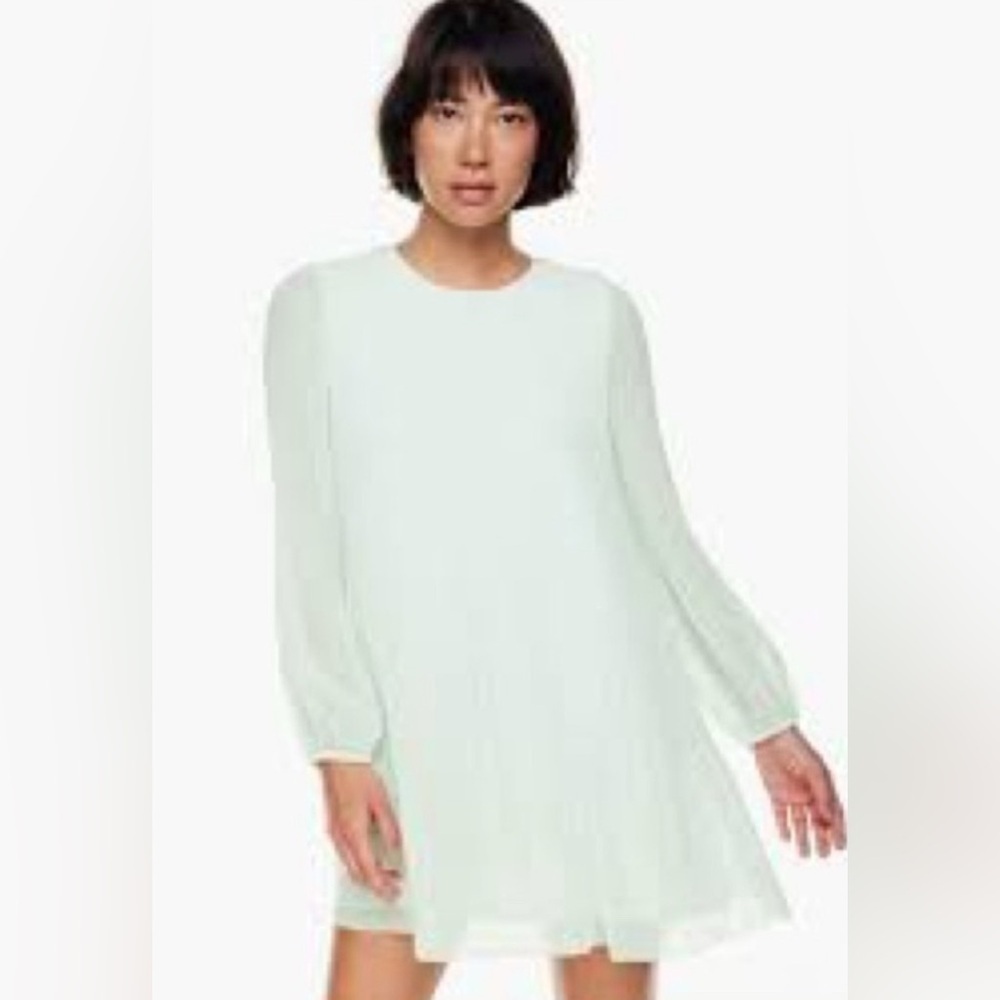Aritzia Wilfred Daydreamer Mini Dress